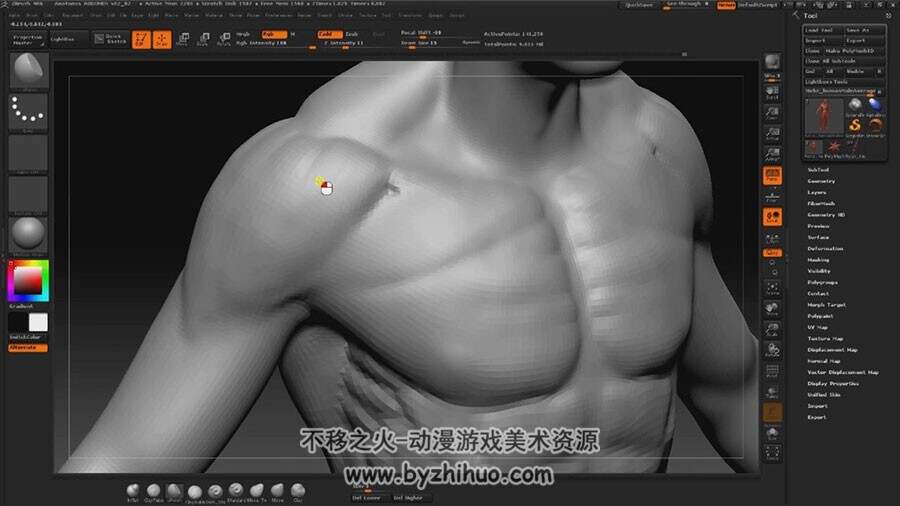 Zbrush 人体解剖之身体肌肉雕刻视频教程
