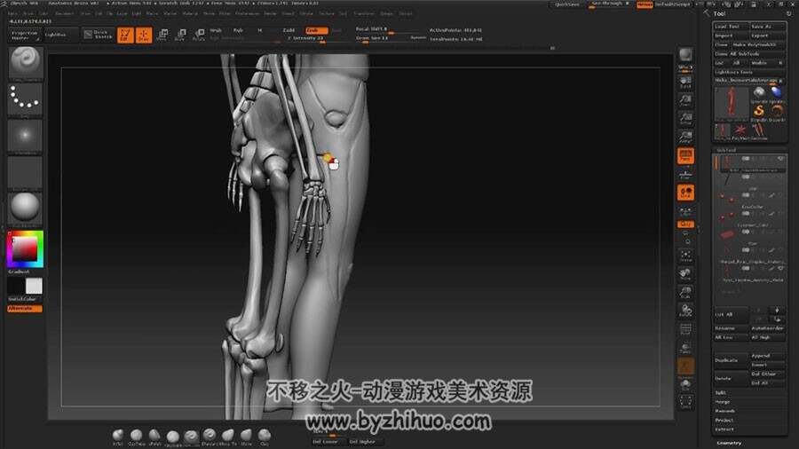 Zbrush 人体解剖之身体肌肉雕刻视频教程