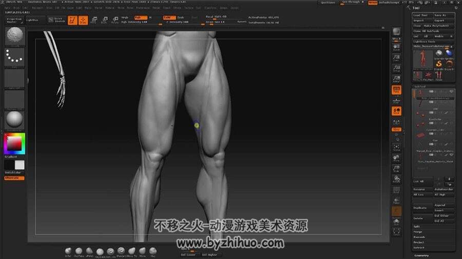 Zbrush 人体解剖之身体肌肉雕刻视频教程