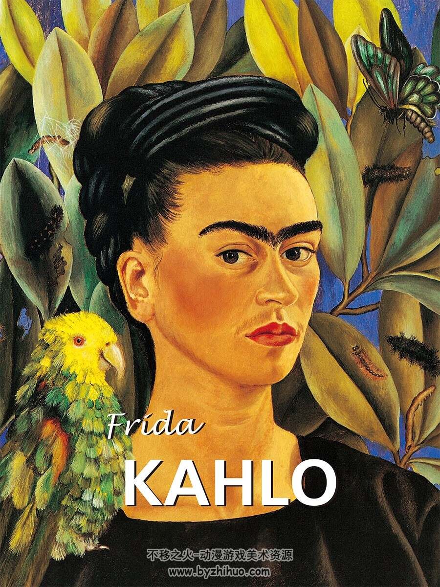 弗里达·卡洛：镜子下  Frida Kahlo 画集