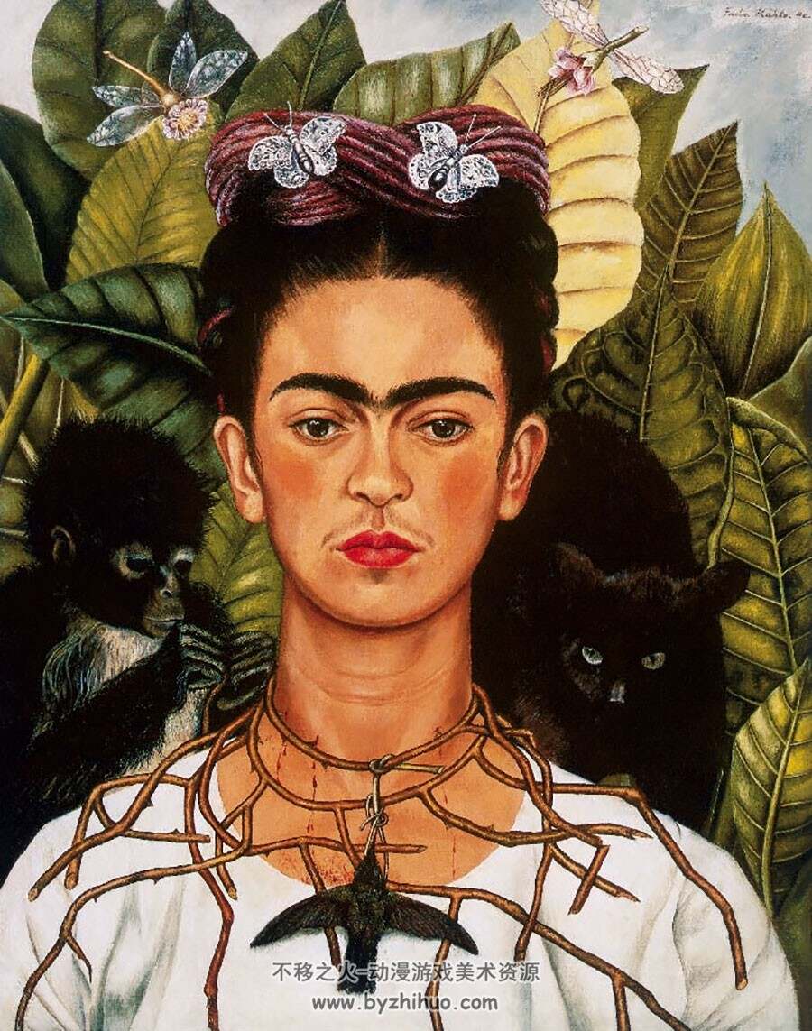 弗里达·卡洛：镜子下  Frida Kahlo 画集