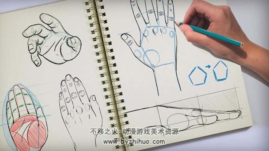 卡通风格 从轮廓到细节 手部绘画方法视频教程