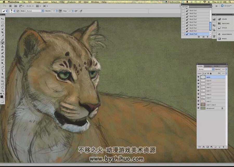 写实的动物插画素描方法视频教程