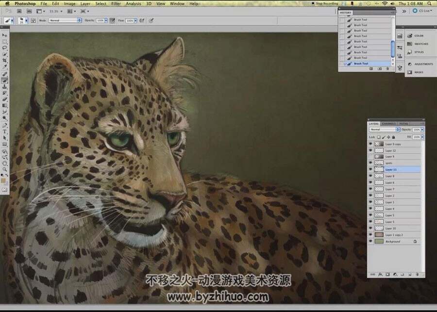 写实的动物插画素描方法视频教程