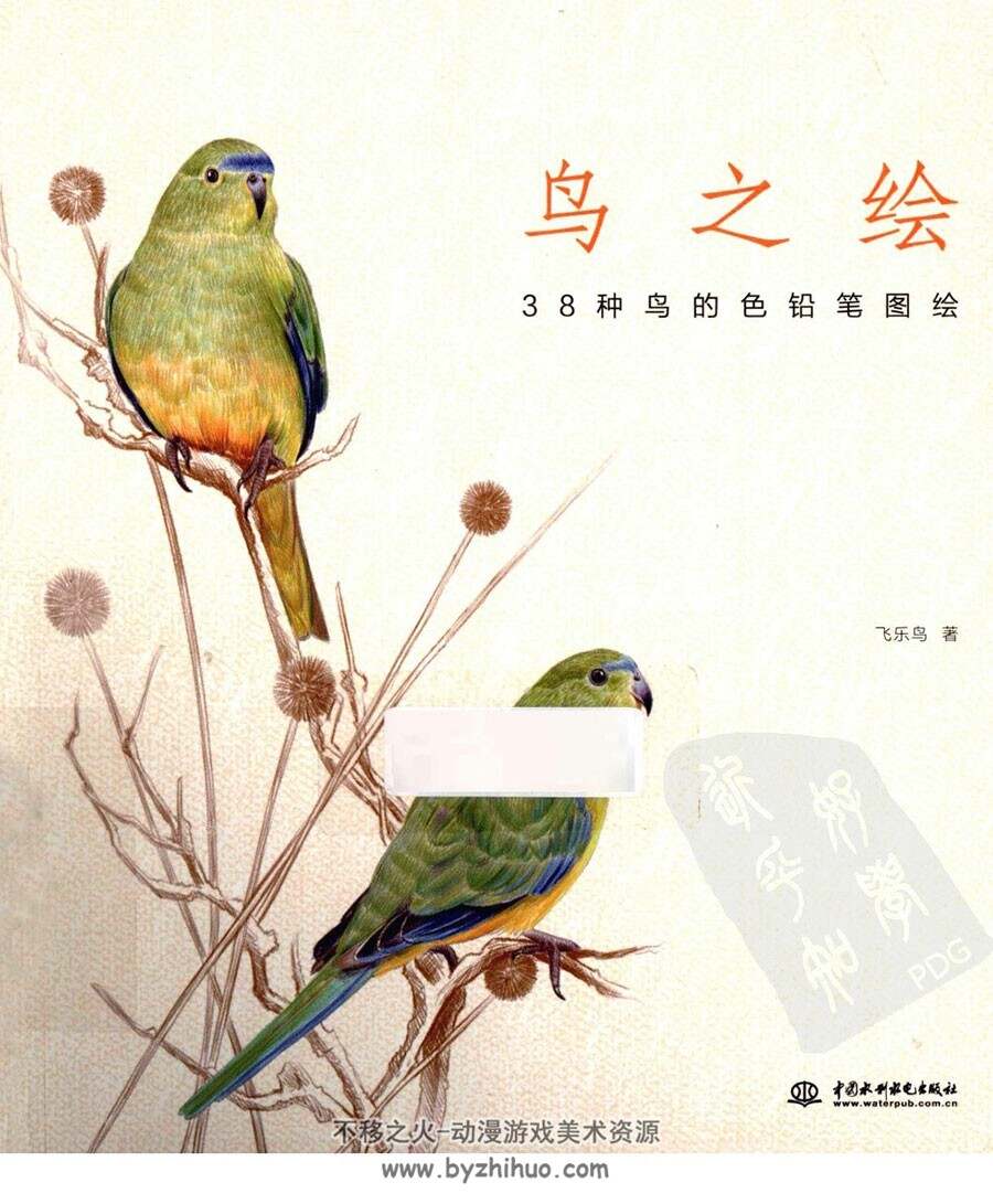 鸟之绘 38种鸟的色铅笔图绘 图文教程