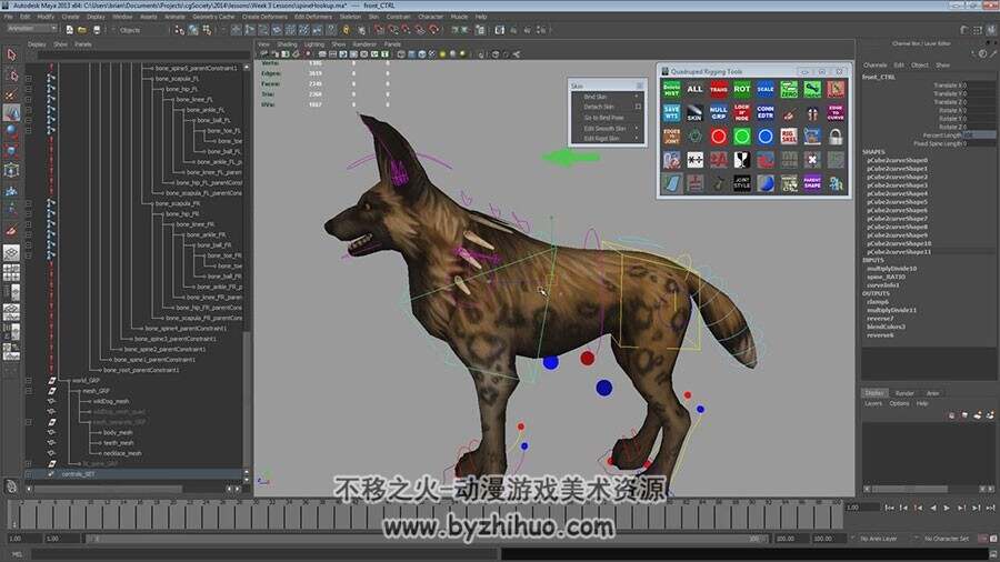 Maya 犬科动物骨骼绑定控制制作视频教程