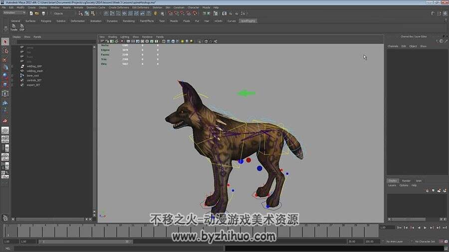 Maya 犬科动物骨骼绑定控制制作视频教程