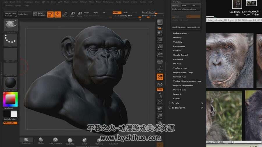 Zbrush 逼真写实黑猩猩雕刻艺术视频教程 附源文件