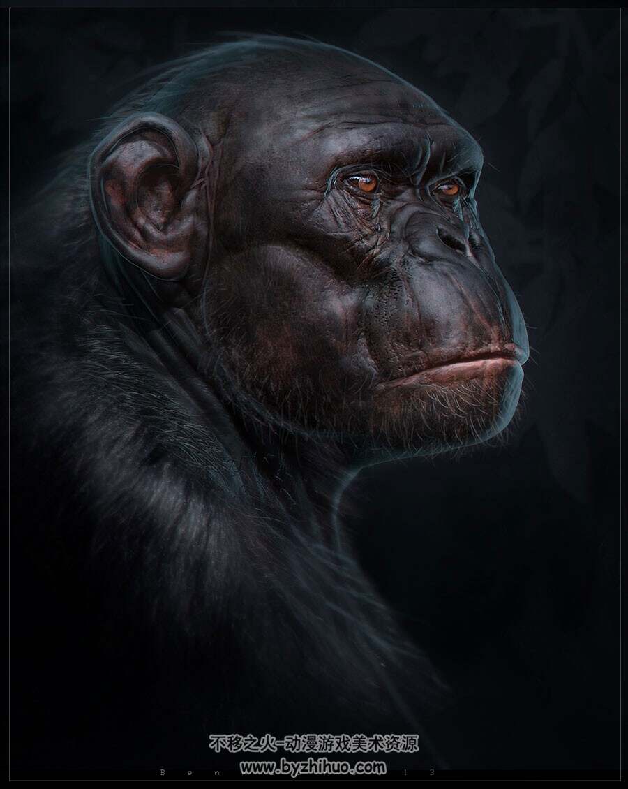 Zbrush 逼真写实黑猩猩雕刻艺术视频教程 附源文件