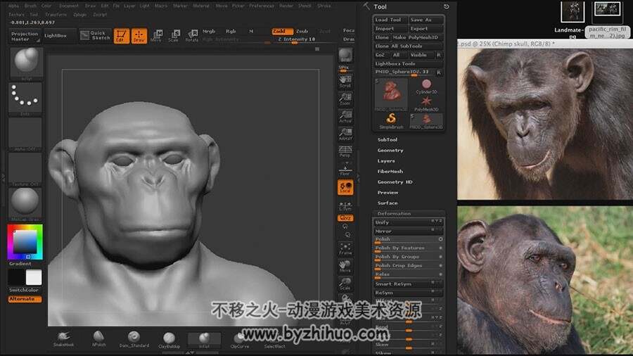 Zbrush 逼真写实黑猩猩雕刻艺术视频教程 附源文件