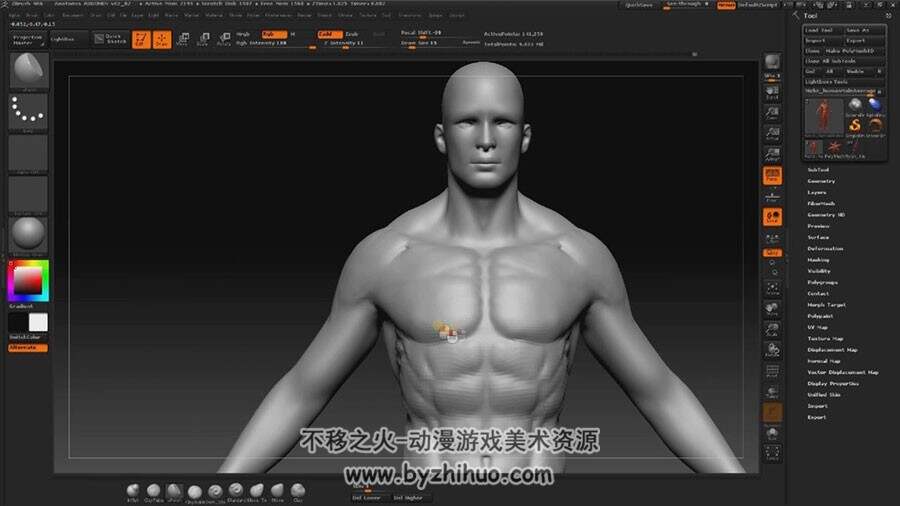 Zbrush 人体解剖身体肌肉视频教程