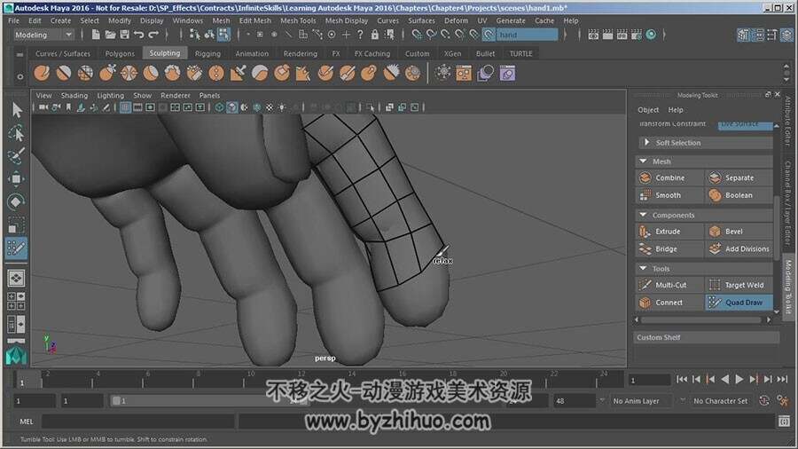 Maya2016 软件基础技能操作实例视频教程