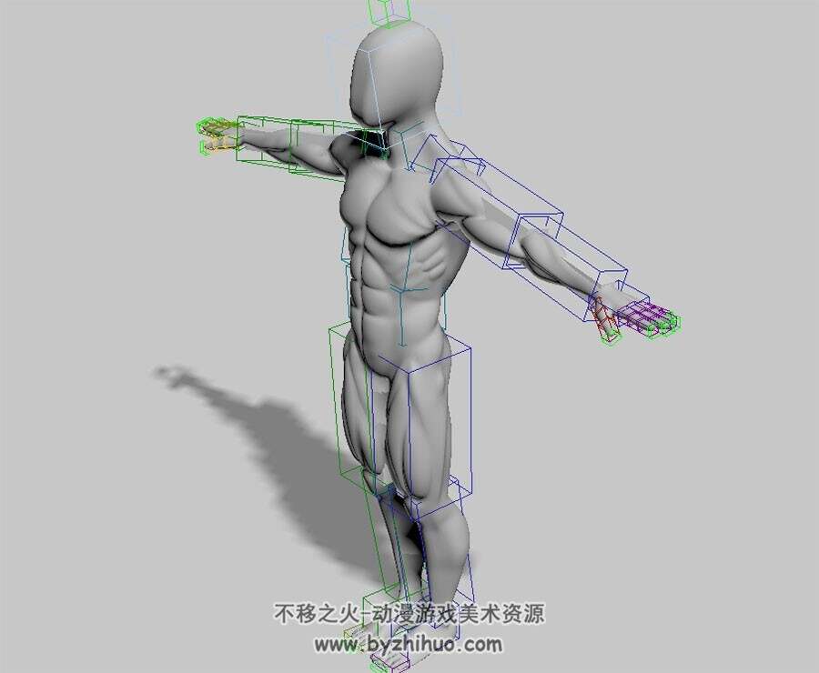 人体肌肉白模 Max模型