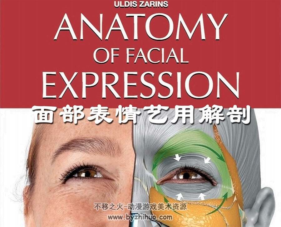 面部表情艺用解剖 中文版