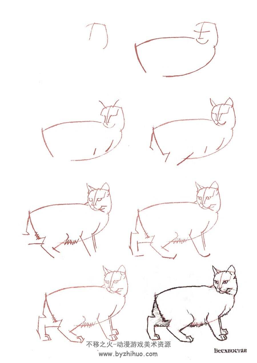 51个猫咪的绘画方法