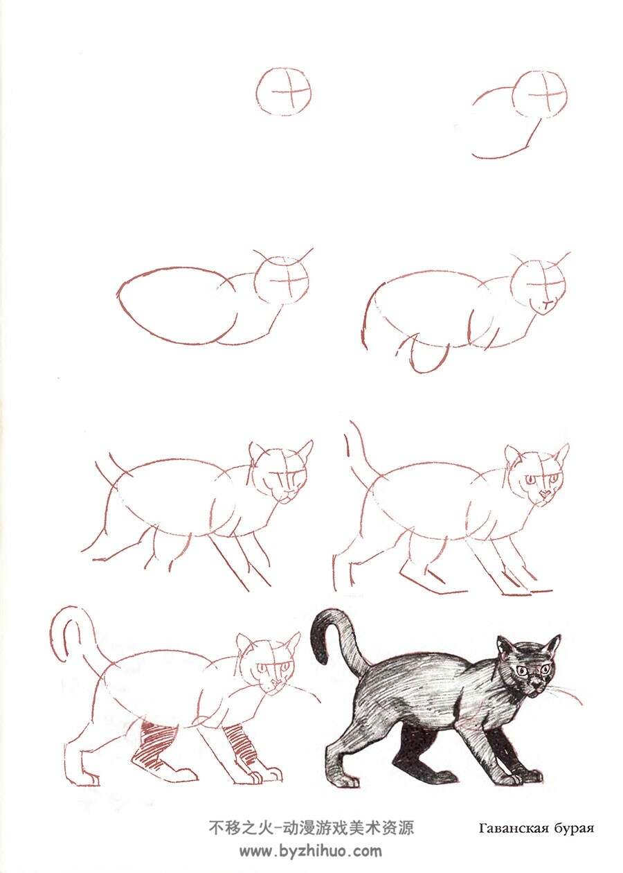 51个猫咪的绘画方法