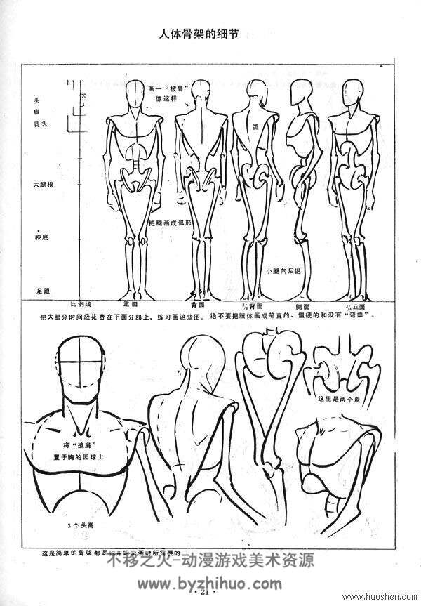 艺用素材 人体素描教学 共7套