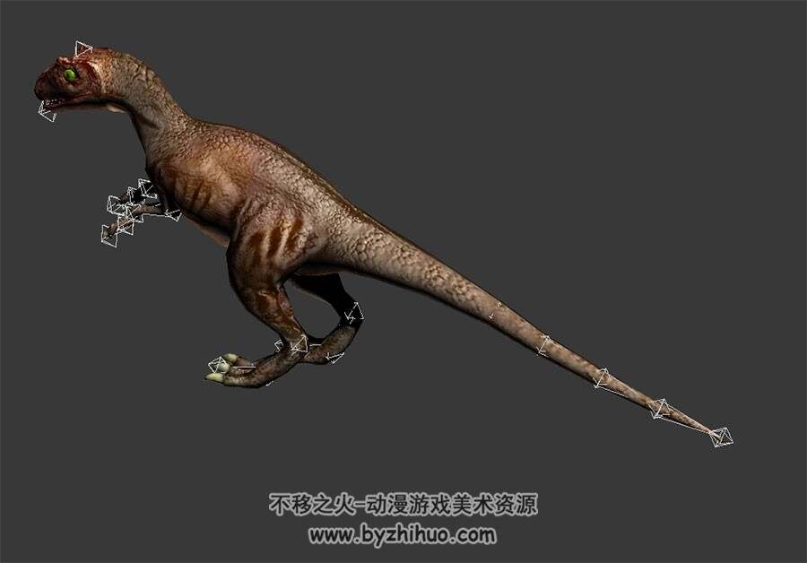三种皮肤的恐龙 3D模型 有骨骼