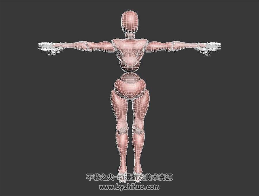 人体骨骼 3D模型 四边面有绑骨