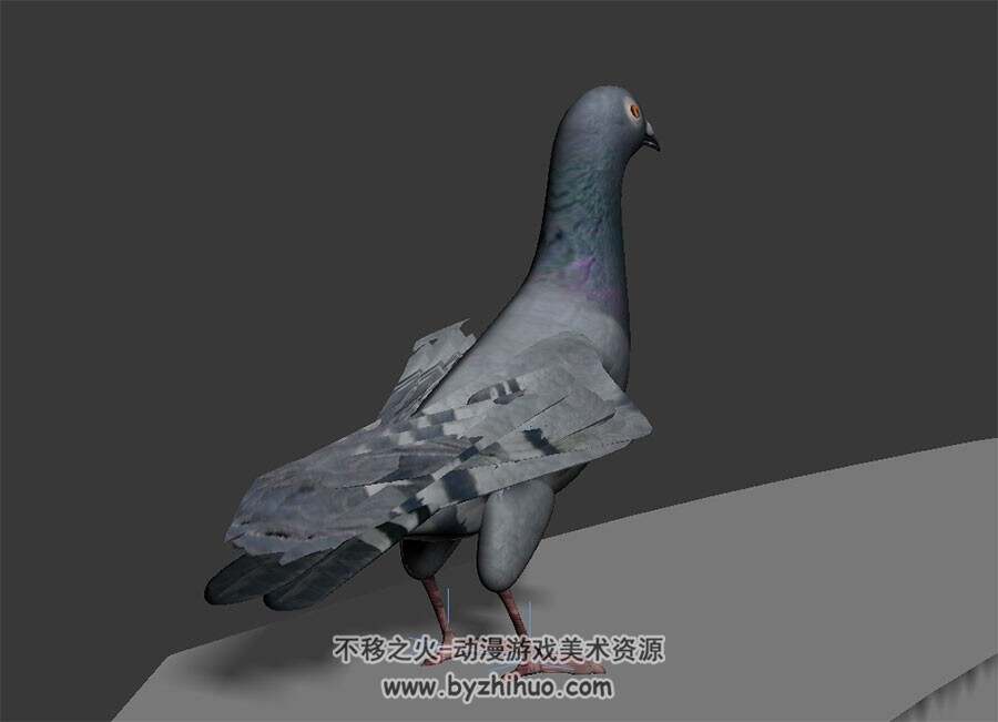 四边面的写实风鸽子 3D模型有绑定和动作