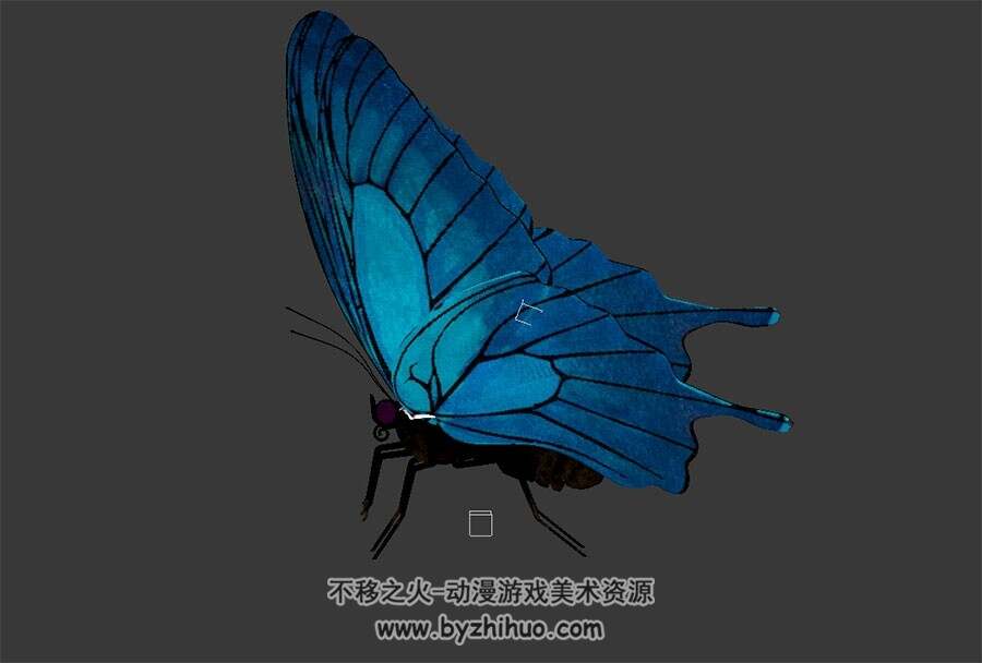 次世代 蓝蝴蝶 3D模型 有绑定和飞行的动作