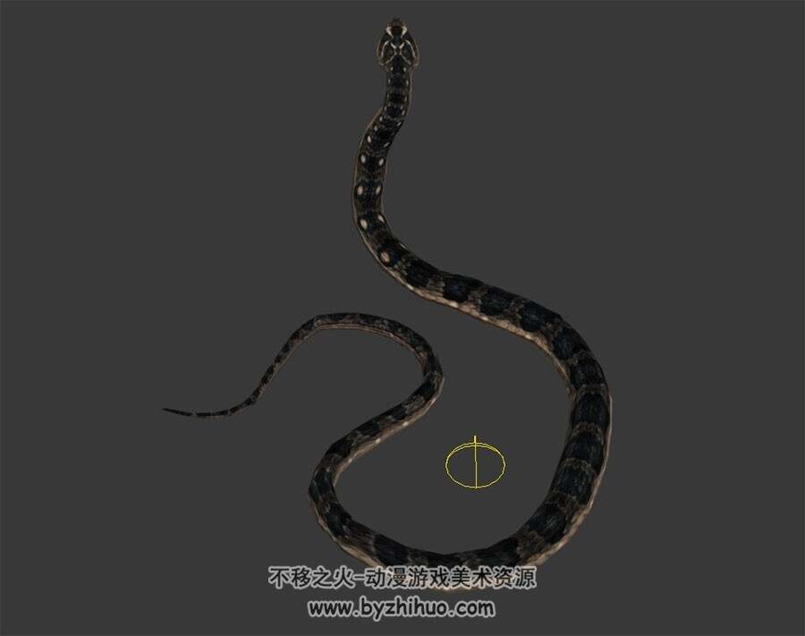 逼真的蟒蛇 3D模型 有绑定和动作