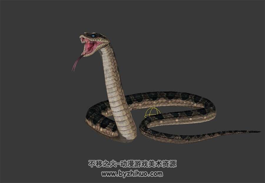 逼真的蟒蛇 3D模型 有绑定和动作