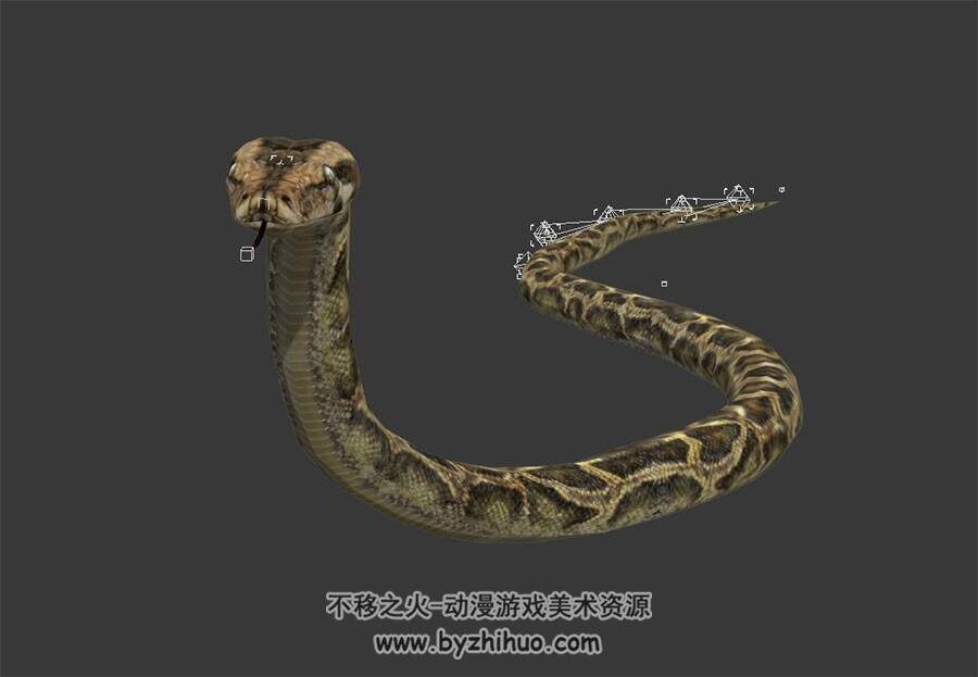 大蟒蛇 3D模型 有绑定和攻击动作
