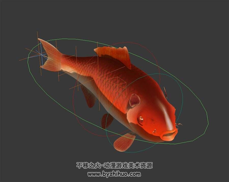 红鲤鱼 3D模型 有绑定和游动的动画 四边面