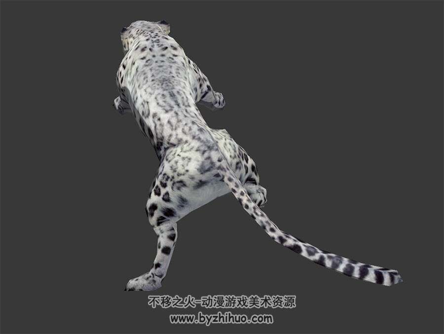 雪豹 3D模型 有绑定和动作 四边面