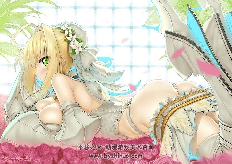Fate/EXTRA 尼禄·克劳狄乌斯 插画图集分享 50P