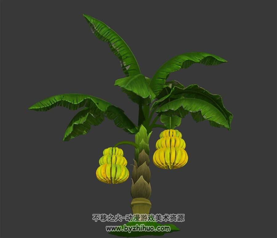 热带香蕉树 Max模型