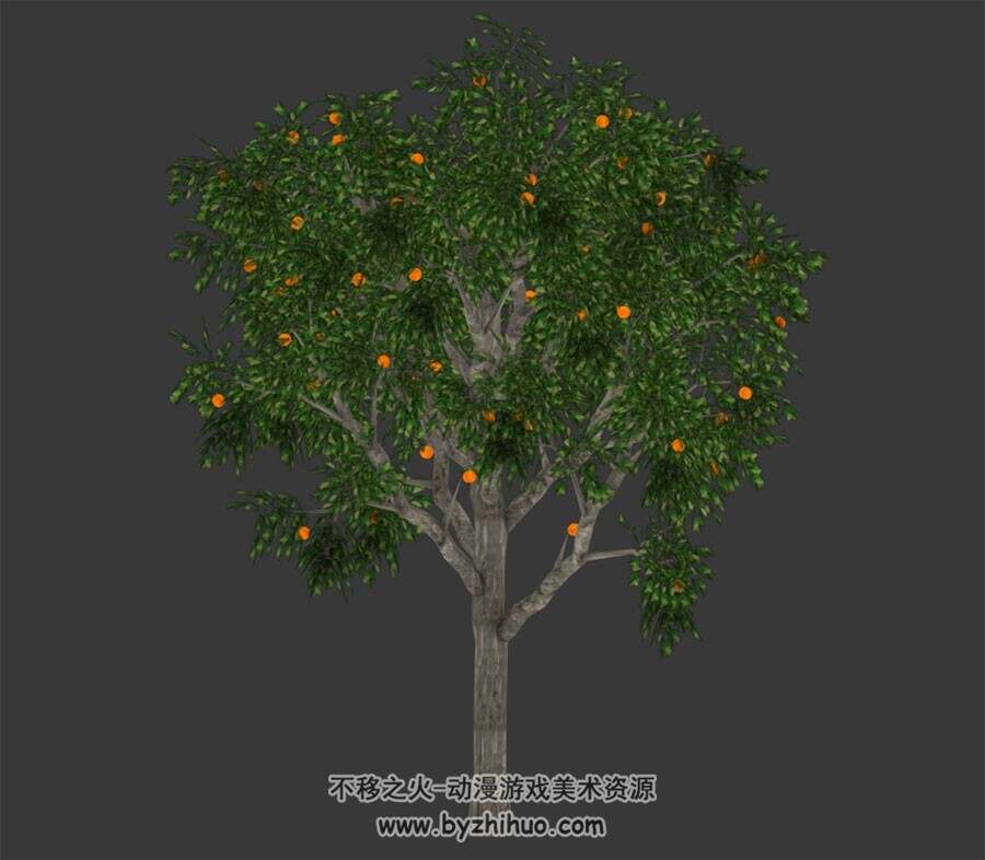 橘子树 Max模型