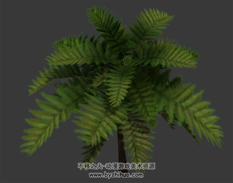 七棵热带树 Max模型