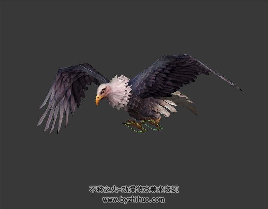 白头鹰 3D模型 有绑定和飞行动作 四边面