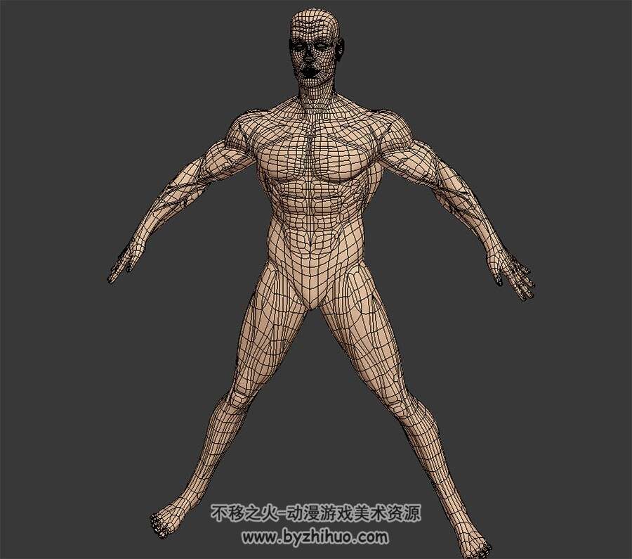 肌肉男裸体模型 Max模型