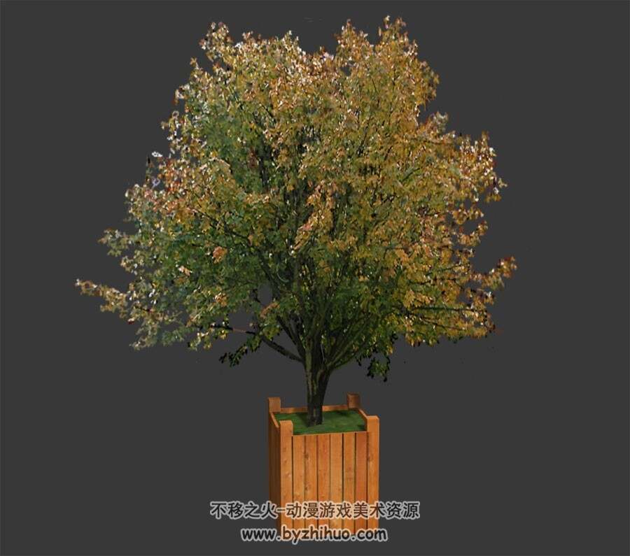 景观树 Max模型