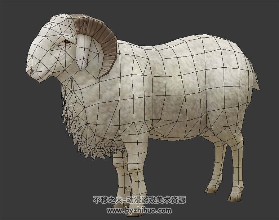 圆润的公绵羊 Max模型