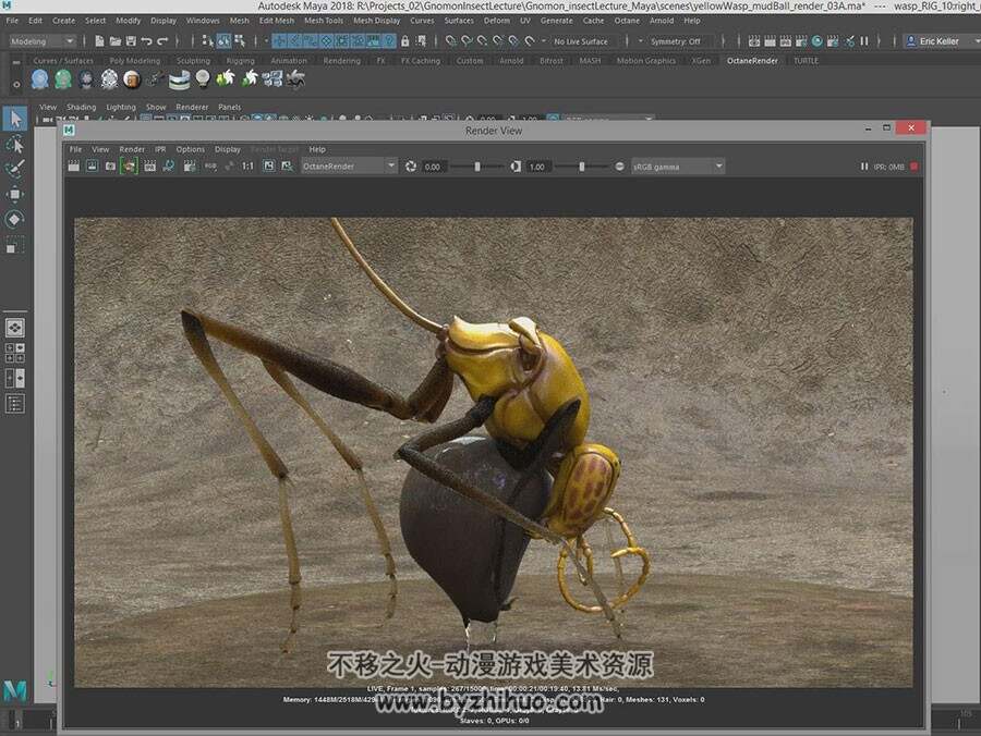 ZBrush 逼真的昆虫雕刻渲染视频教程 附源文件