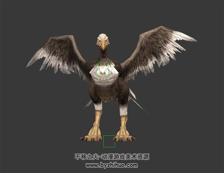 大爪秃鹫 3D模型 有绑定和动作 四边面