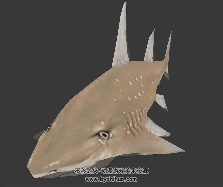 鲨鱼角鲨目 Max模型