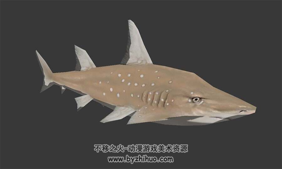 鲨鱼角鲨目 Max模型