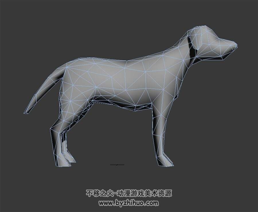 一条白模中华田园犬  3D模型 有绑定