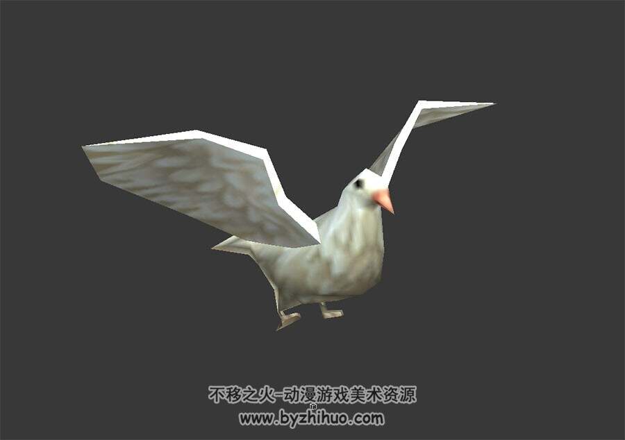 白色的鸽子 3D模型 有绑定和飞行的动作