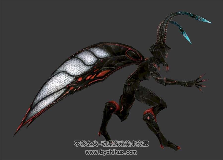 昆虫女妖怪 3D模型 有绑定和全套动作