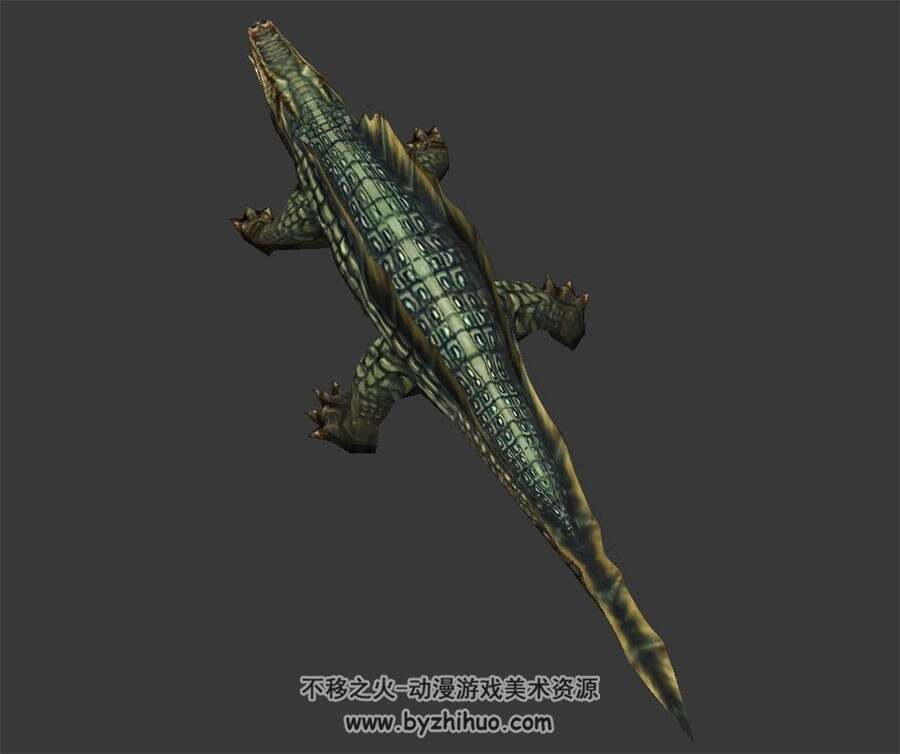 棘背鳄鱼 3D模型 有绑定和动作