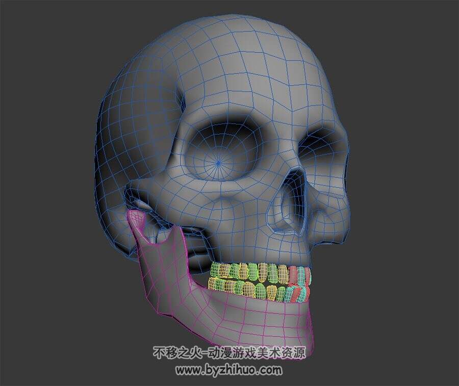 无贴图骷髅头 Max模型