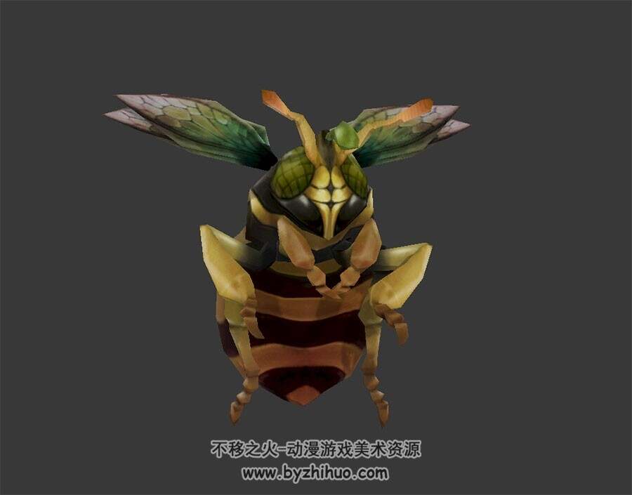 大蜜蜂 3D模型 有绑定和动作