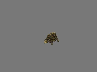 变异鳄龟  3D模型 有绑定和各种动作