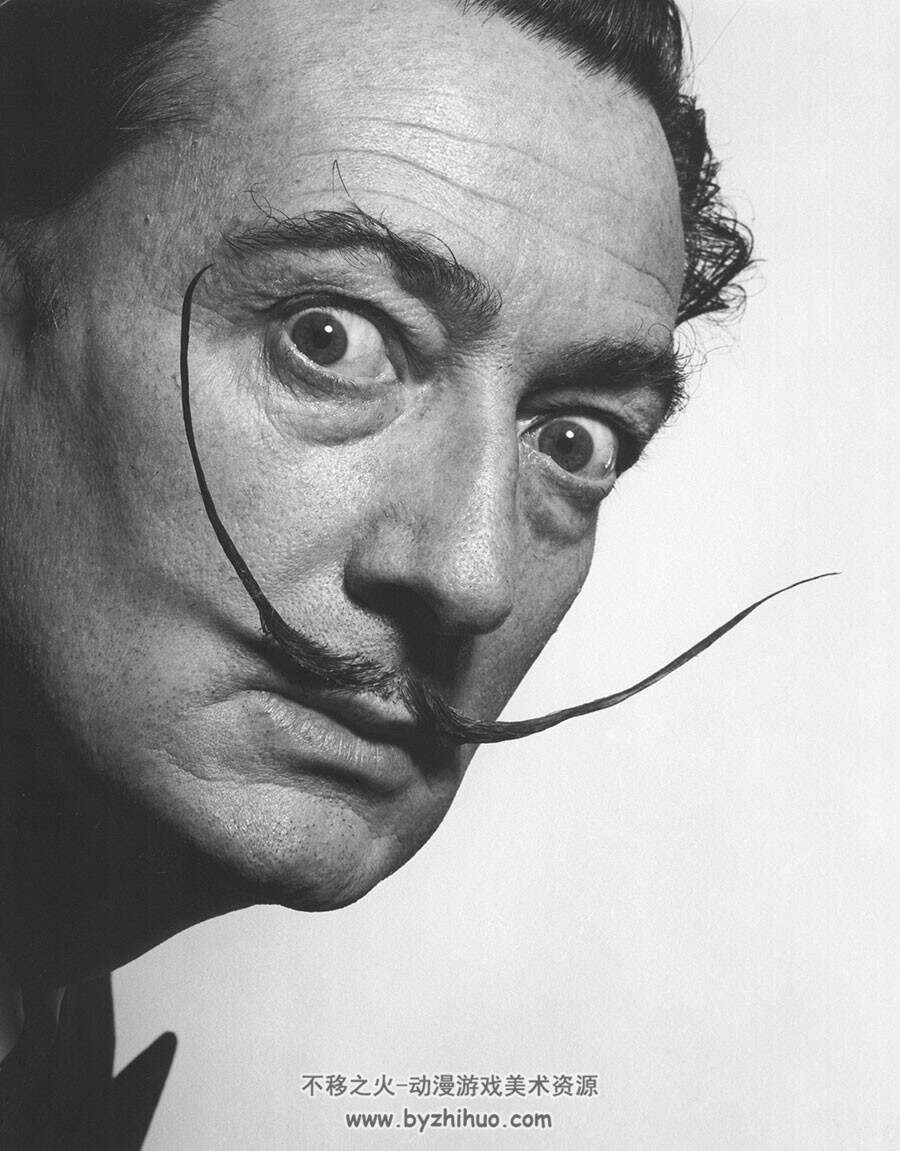 尤瑟夫·卡希 Yousuf Karsh 加拿大著名摄影师作品赏析 313P